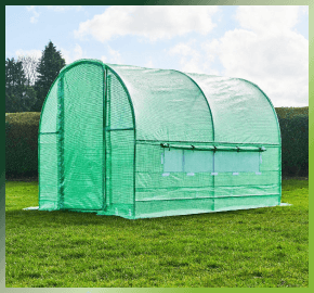 Polytunnels